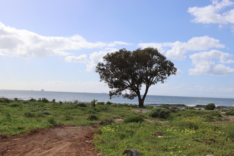 0 Bedroom Property for Sale in Da Gama Bay Western Cape